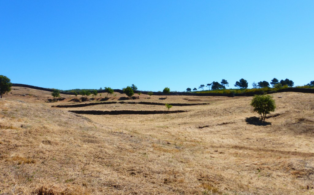 Farm